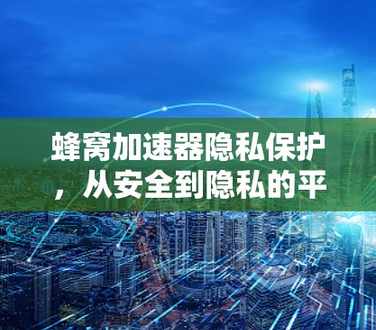 蜂窝加速器隐私保护,从安全到隐私的平衡 蜂窝加速器隐私保护,从安全到隐私的平衡