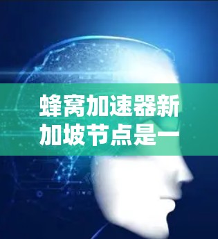 蜂窝加速器新加坡节点是一种通过特定结构和机制加速网络流量传输的技术，主要用于提升数据传输速度和减少延迟。以下是对该技术的详细分析