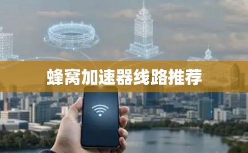 蜂窝加速器线路推荐